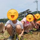 청운농촌체험마을 이미지