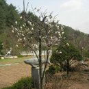 다산농원 이미지