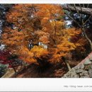 유림-1073 이미지