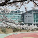 용인대학교 이미지