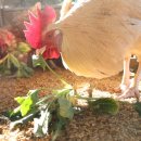 김태현농장 이미지