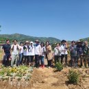 생담원농장 이미지