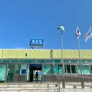 강릉 묵호 여행 코스 추천 논골담길 포토존 많아 사진찍기 좋은 산책길 점심은 오뚜기칼국수 KTX묵호역