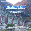 연제구-138 | 🎁부산 최초의 사찰 [마하사] 방문 후기