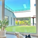 리브로스 | 전주 근교 반려견 동반 가능한 독채 펜션(약 70평) ‘리브로스’