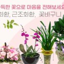 메가F&C
