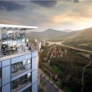 포레스트31 이미지