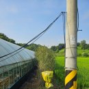 무너미농장 이미지