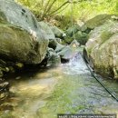 산청 단성면 시원하게 놀고 온 어천계곡