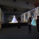 백씨미디어 이미지