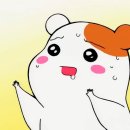 신화행정사사무소 이미지