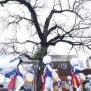 천왕메기 이미지