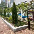 중산초교 이미지