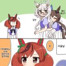 씨네이처