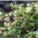 숲속의 휴식 이미지