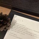 커피보헤미안사람들 | [강원도 고성] 한적한 곳만 찾아다니는 사람의 서로재 후기｜정통식당｜보헤미안 박이추커피