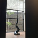 한남햇살약국 | 순삭치킨된 나의 최근일상 공유 건