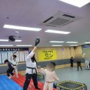 늘푸른태권스쿨 이미지