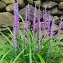 이화농장3 이미지