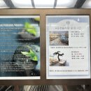 한화리조트 백암온천 대온천탕 네이버블로그