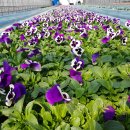 함양군농업기술센터 이미지