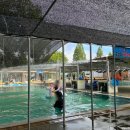 월출산온천관광호텔 야외수영장 이미지