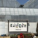 힐링팜 | 경기도 아이랑 수원 포시즌힐링팜 실내체험 30개월 방문 후기
