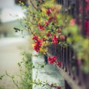 비로소, 겨울 하늘 이미지