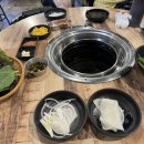 고고돼지 이미지