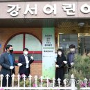 강서어린이집 이미지