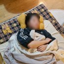 베이킹파파학원 | 11-12월 한 번에