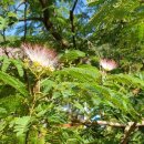 양양군양양댁 이미지