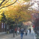 산본중앙공원 이미지