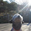 진서동물병원 이미지