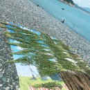 예송민박 이미지