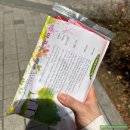 봄니치과의원 | 마곡역 발산역 사이! 세상모든사랑니치과의원 사랑니 발치 장단점