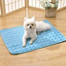 비손플러스 이미지