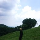 아우내흑염소 이미지