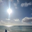 회화 초급(7~9세) 이미지