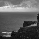 완도 정자리 황칠나무 | 완도로 떠나는 4번째 이야기 보길도 여행 (동천석실, 공룡알해변, 황칠나무)