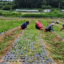 까치슈퍼 이미지