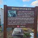 주천면 행정마을 티스토리
