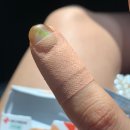 일동중앙약국 | 물이 자주 닿는 상처에 붙이기 좋은 일동제약 NICHIBAN 케어리브밴드 방수밴드 일본방수밴드 🩹