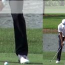 청솔골프 이미지