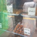 와치노인복지센터 이미지