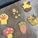 펫푸드스타일리스트와 함께하는 반려동물 수제 간식 만들기부터 창업까지 (3편) | 부산 경상대 펫푸드스타일리스트 자격증 수업 후기:강아지 간식 만들기 출장 강의 베르델리