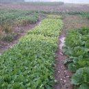 정남농장 이미지