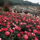 덕가본가 이미지