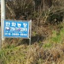 만화농장2 이미지