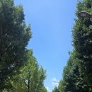 봉선중학교 이미지